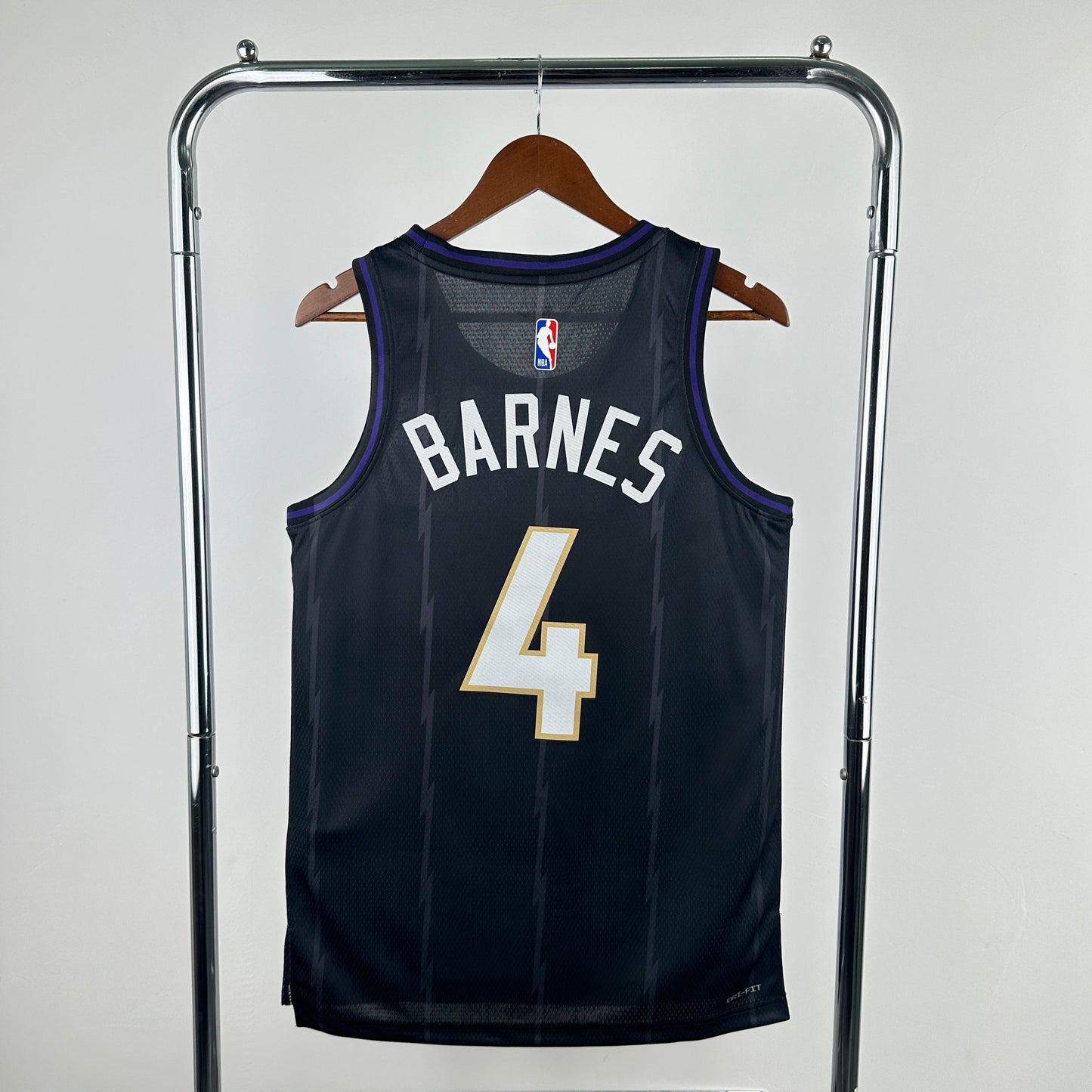 Toronto Raptors 25 (Retro Players)