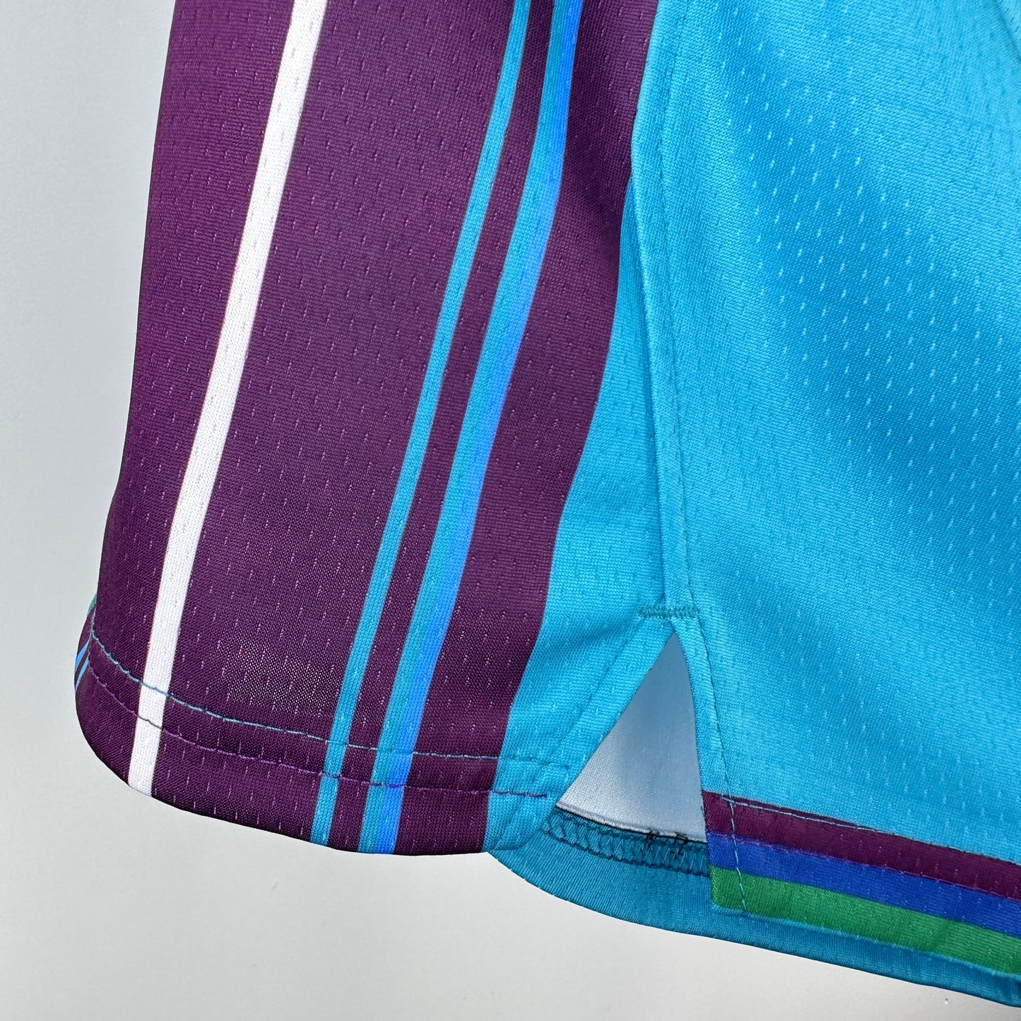 Charlotte Hornets 24 (Shorts)